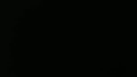 Snapshot of olli_5 chatting on February 2025 11:17:02 AM olli_5 online show from February 2025 11:17:02 AM