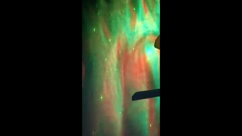 Snapshot of omiethehomie4 chatting on March 2026 10:22:02 AM Dumbass Im done online show from March 2026 10:22:02 AM