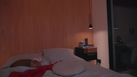 Snapshot of onelittlemermaid chatting on December 2024 06:53:01 PM Ariel online show from December 2024 06:53:01 PM