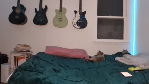 Duo online show from March 2025 02:52:01 AM