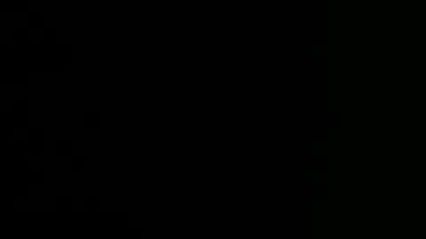 oooxxxrrr online show from December 2024 05:03:01 PM