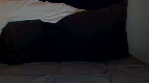 Snapshot of open_torequest chatting on September 2025 09:55:02 AM open_torequest online show from September 2025 09:55:02 AM