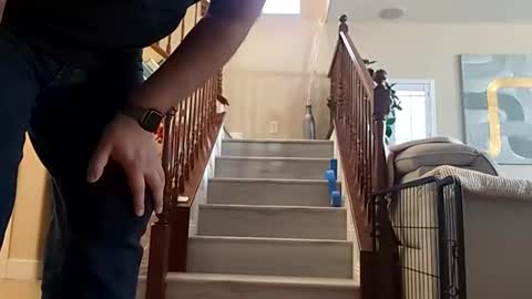 or2jrz online show from March 2026 07:09:01 PM