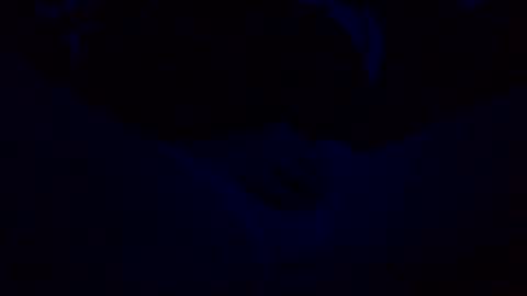 orgazim online show from October 2025 10:06:01 AM