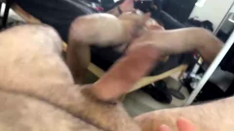 Snapshot of orgybargy69 chatting on November 2025 09:24:02 PM ORGYBARGY69 online show from November 2025 09:24:02 PM