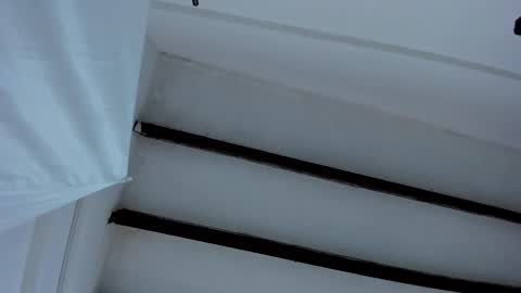 Miss Guzman  online show from January 2025 12:48:01 PM