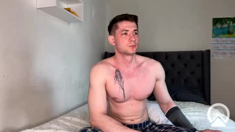 origamicat online show from March 2025 10:28:02 AM