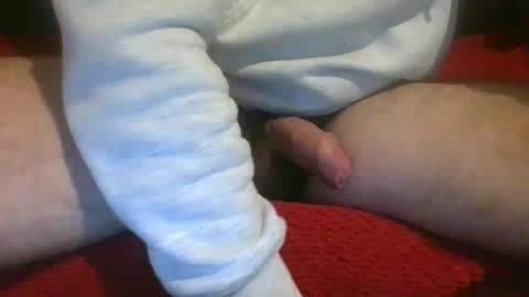 ornytologist online show from December 2024 09:39:02 AM