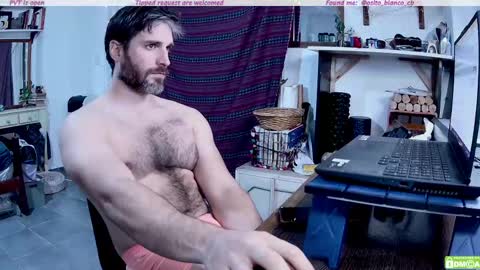 Osito Blanco online show from May 2026 11:43:01 PM