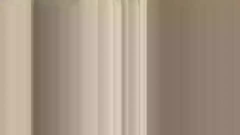 rossignol online show from December 2024 12:33:01 AM