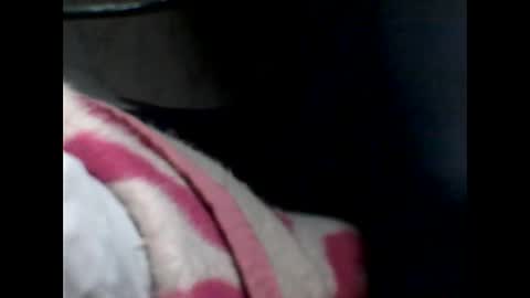 p_ro_rok online show from February 2026 02:04:01 AM