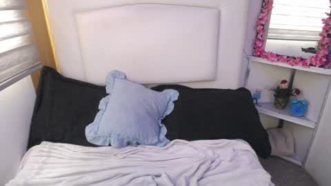 Snapshot of palmer_mix chatting on December 2024 04:20:01 PM Palmer online show from December 2024 04:20:01 PM