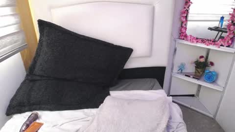 Snapshot of palmer_mix chatting on January 2025 06:20:01 PM Palmer online show from January 2025 06:20:01 PM