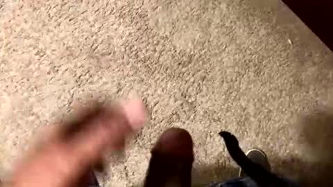 palote_69 online show from November 2025 03:37:02 AM