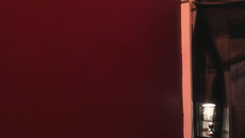  P A M  online show from February 2026 04:06:02 AM