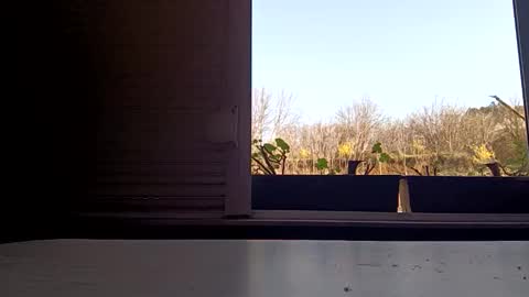 angel hris online show from April 2026 03:09:02 PM