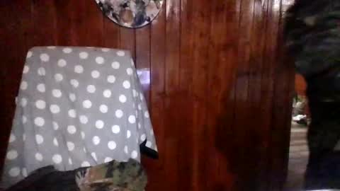 panditernurita12 online show from March 2026 03:23:01 AM