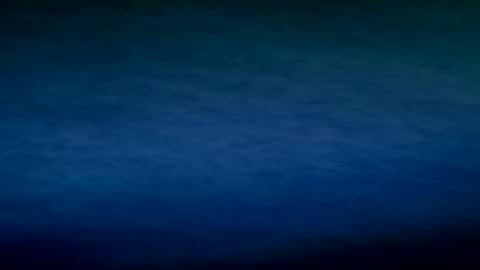 pantera_white online show from July 2026 12:01:02 PM