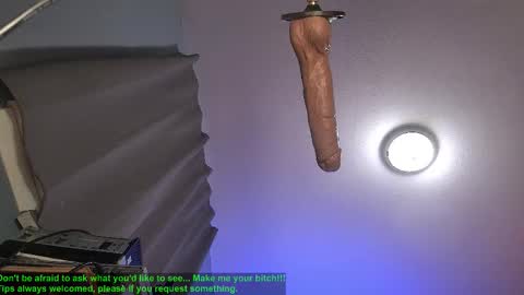 Make me your sissy online show from February 2026 01:00:02 PM