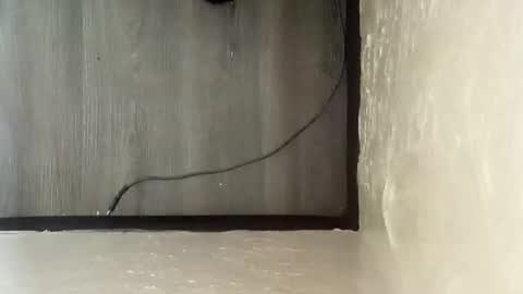 Snapshot of pantieplaytime52532 chatting on December 2024 05:16:01 AM pantieplaytime52532 online show from December 2024 05:16:01 AM