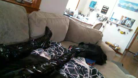 Pantyhoselover online show from December 2024 10:23:01 PM