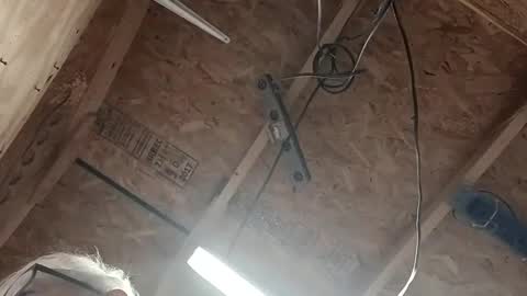 papajb70 online show from February 2025 03:55:02 AM