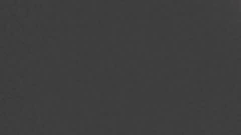 Snapshot of papilos25 chatting on January 2025 01:21:02 PM papilos25 online show from January 2025 01:21:02 PM