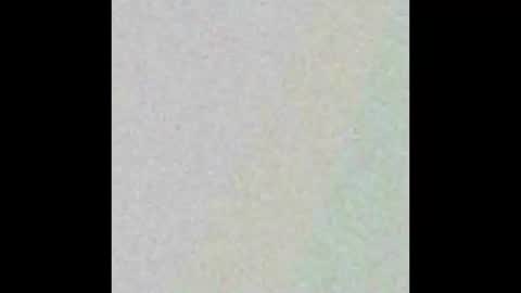 paprika1300 online show from March 2026 08:20:02 PM