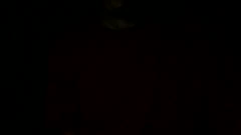 papy_dani33 online show from December 2025 08:34:01 AM