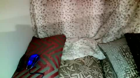 Parlay tellio online show from December 2024 02:43:02 AM