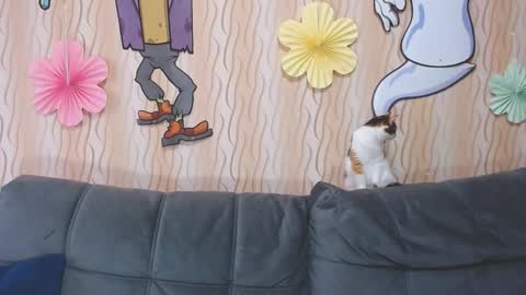 Snapshot of passionate_lora_ chatting on October 2025 03:50:01 AM I am Lora and i am glad to see you in my room online show from October 2025 03:50:01 AM