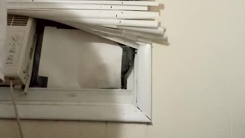 JD online show from December 2024 11:27:02 PM