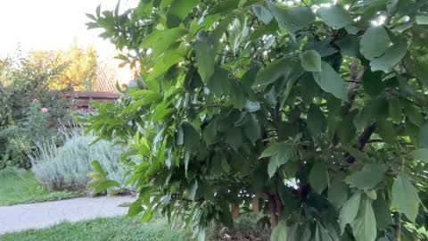 Andreea online show from September 2025 04:35:02 AM