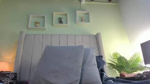 patty online show from May 2026 11:49:01 AM