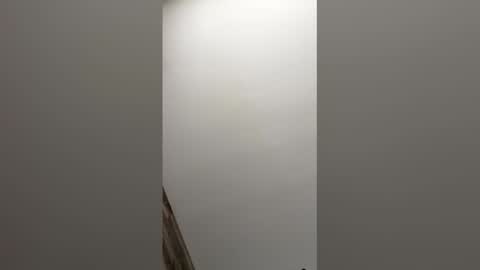 paul856963 online show from March 2026 09:19:02 PM