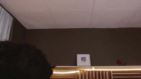 Paul online show from November 2025 01:54:01 PM