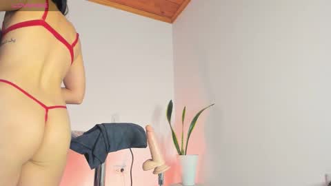 Paula perez - online show from December 2025 10:42:02 AM