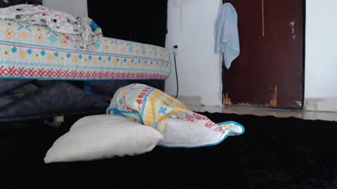 paula_torrez online show from September 2025 02:08:01 PM