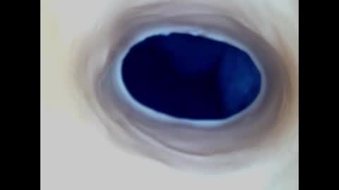 Paula 18 Aninhos online show from December 2025 01:03:01 AM