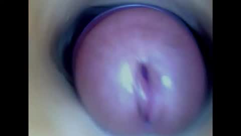 Snapshot of paulainoscente chatting on February 2026 06:40:02 AM Paula 18 Aninhos online show from February 2026 06:40:02 AM