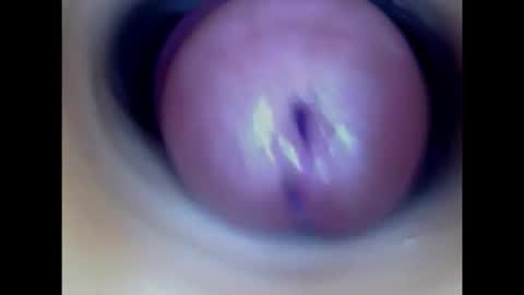 Snapshot of paulainoscente chatting on February 2026 01:53:02 AM Paula 18 Aninhos online show from February 2026 01:53:02 AM