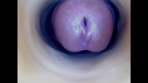 Snapshot of paulainoscente chatting on February 2026 12:36:01 AM Paula 18 Aninhos online show from February 2026 12:36:01 AM