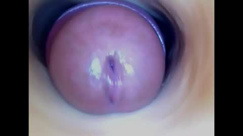 Snapshot of paulainoscente chatting on February 2026 07:54:01 PM Paula 18 Aninhos online show from February 2026 07:54:01 PM