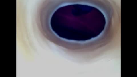 Paula 18 Aninhos online show from March 2026 09:25:01 PM