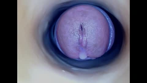 Paula 18 Aninhos online show from March 2026 06:09:02 PM