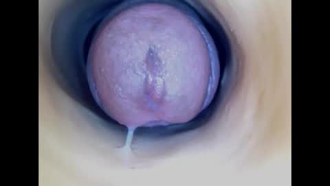 Paula 18 Aninhos online show from April 2026 04:04:02 PM