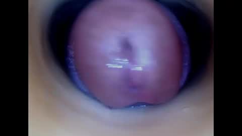 Paula 18 Aninhos online show from May 2026 12:57:02 PM