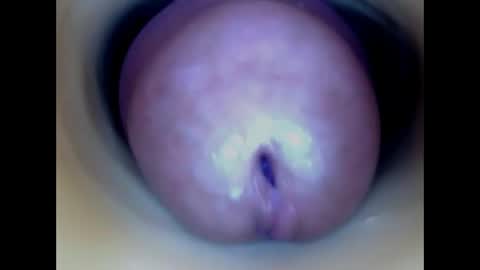 Paula 18 Aninhos online show from May 2026 01:08:02 PM