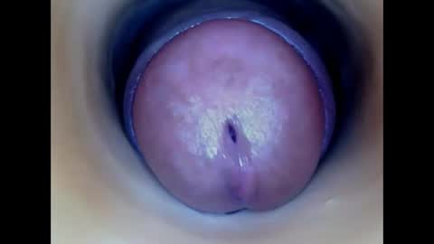 Paula 18 Aninhos online show from May 2026 06:46:01 PM