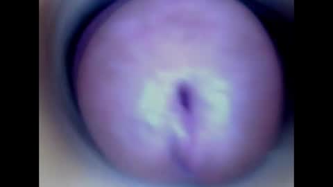 Snapshot of paulainoscente chatting on June 2026 01:30:02 AM Paula 18 Aninhos online show from June 2026 01:30:02 AM